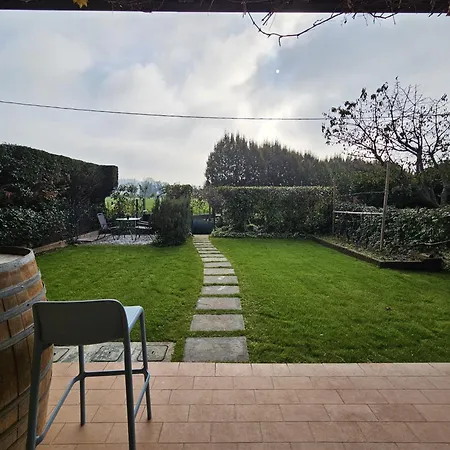 La Vite In Collina * Solferino